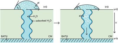 Nonlinear Porous Diffusion Modeling of Hydrophilic Ionic Agrochemicals in Astomatous Plant Cuticle Aqueous Pores: A Mechanistic Approach